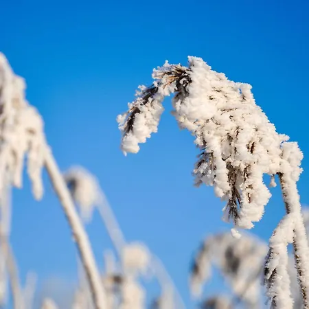 Appartement Birgits Huuske Stedesdorf