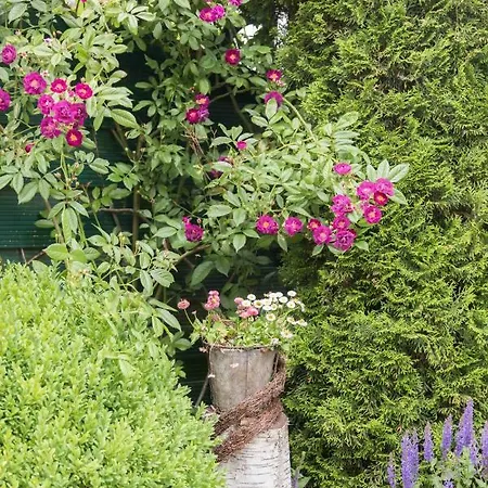 Birgits Huuske Apartment